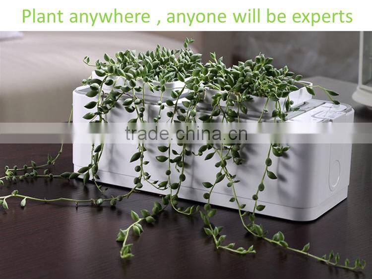 acrylic flower vase stands