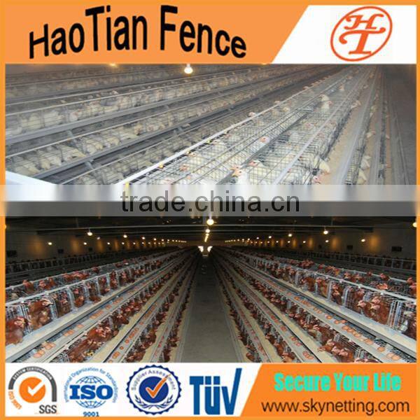 design chicken egg cage for layers for poultry farm bird cage for kenya farms