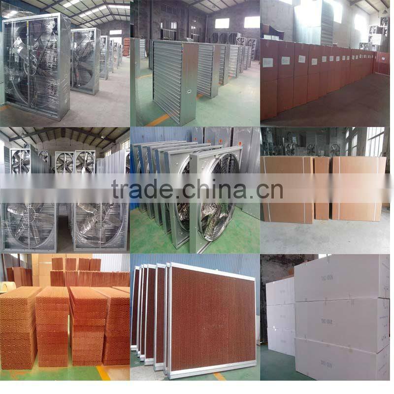 Industrial Exhaust Fan/Heavy Duty Type
