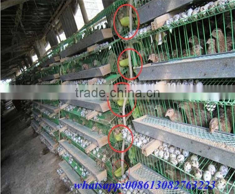 3-layer chicken layer cage price