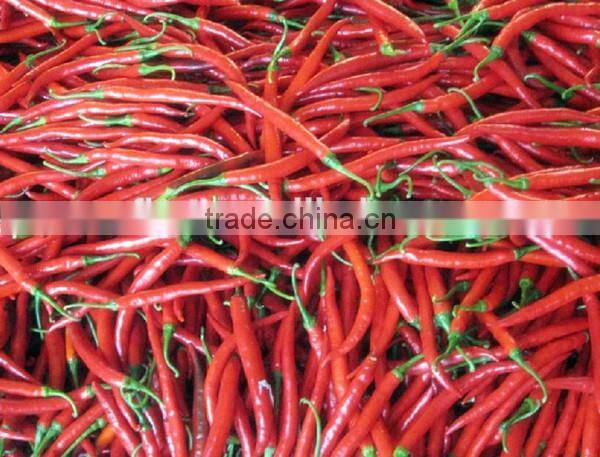 best price for garlic ginger grinding machine