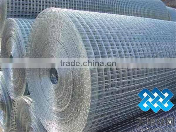 galvanized wire mesh( welded wire mesh)