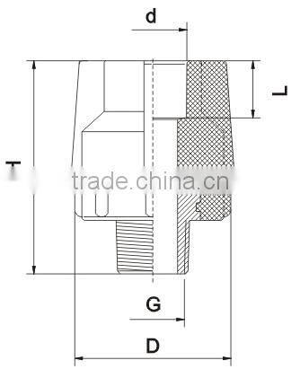 PPR Male thread bush DIN 8077 / 8078 (PPR Pipe fittings )