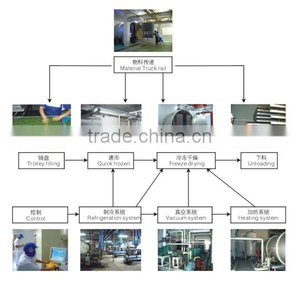 Sanshon FDG Industrial Commercial Dehydrator