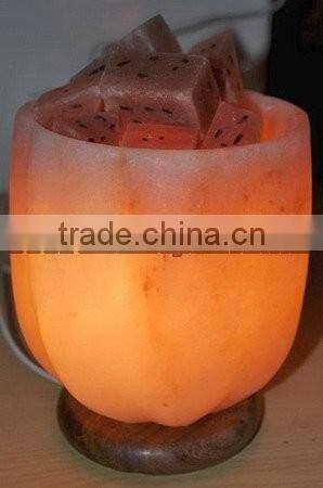 Beautifull Modern CRAFTED BOWLS SALT LAMPS