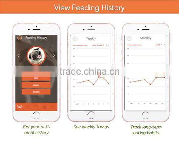 Best automatic dry cat food dispenser,feeder and waterer