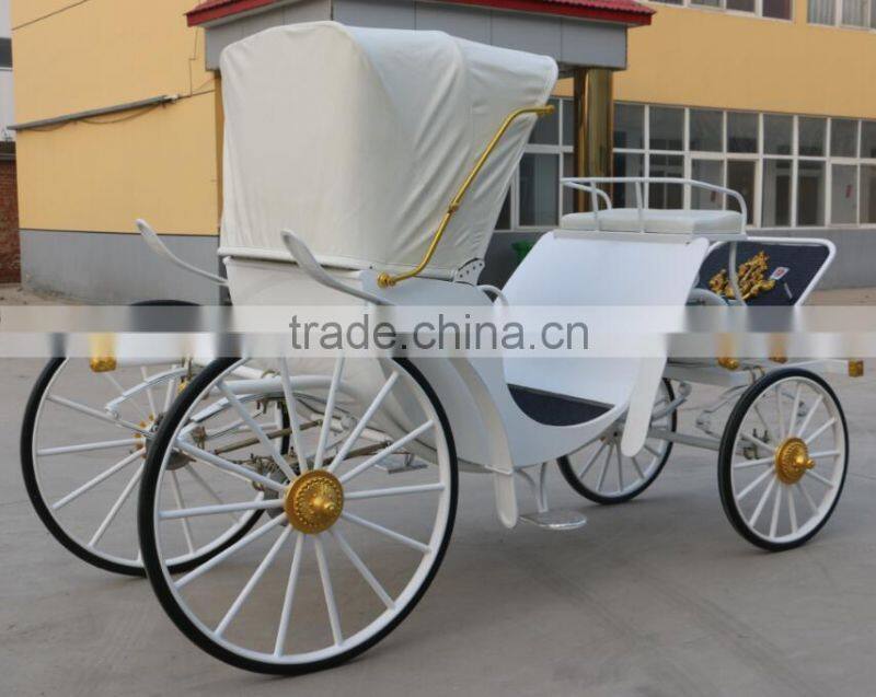 Hotsell cinderella carriage horse carriage(BG11-M082)