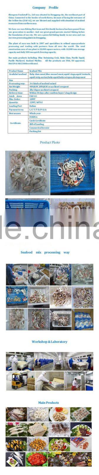 IQF seafood mixed frozen