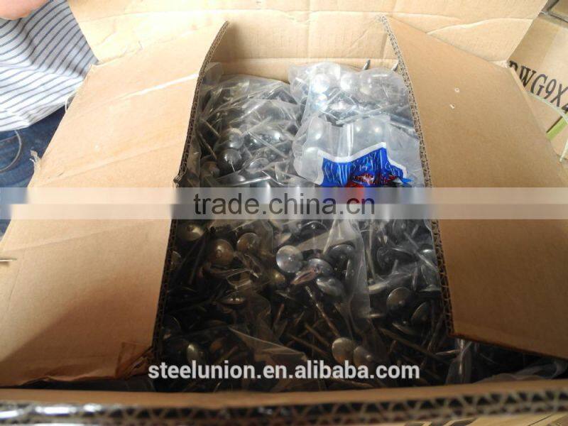 china roofing nails/roofing nails umbrella head/roofing nails cheap price