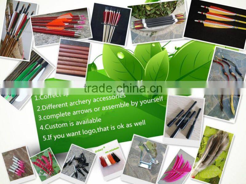 6.2mm ON-OFF Switch Lighted Led Arrow Nock