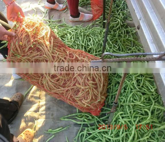 modest price garlic packaging mesh sack