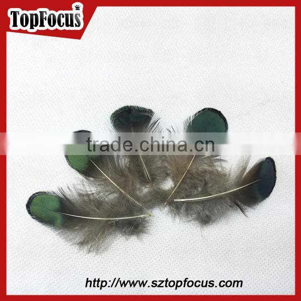 new hot carnival costume trimming fringe green pheasant feathers prices
