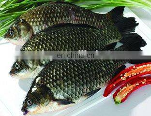 Most Popular Cehap Prices Fish Processing Machine on sale