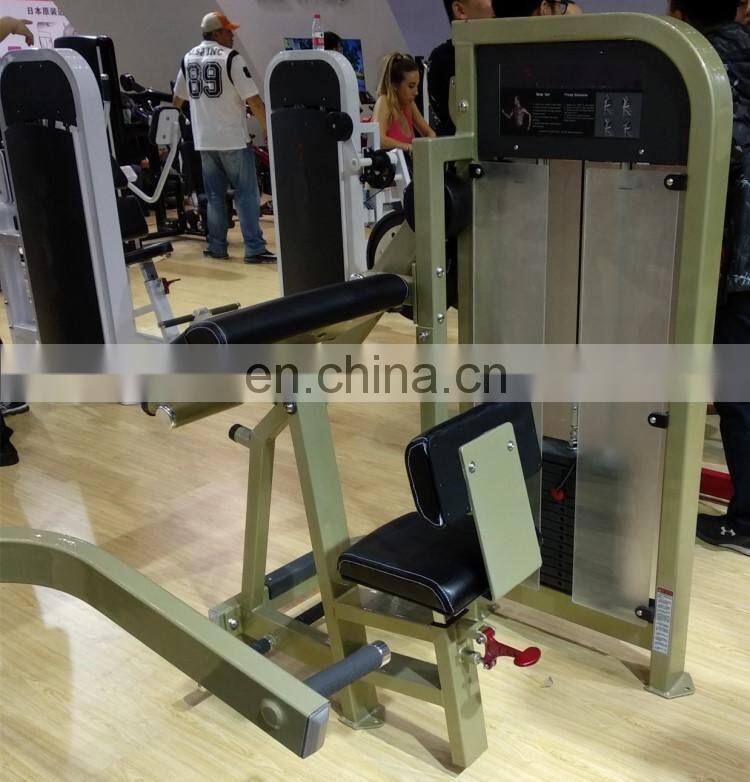 High Quality Commercial Cybex Biceps Triceps Curl Fitness Gym Machine