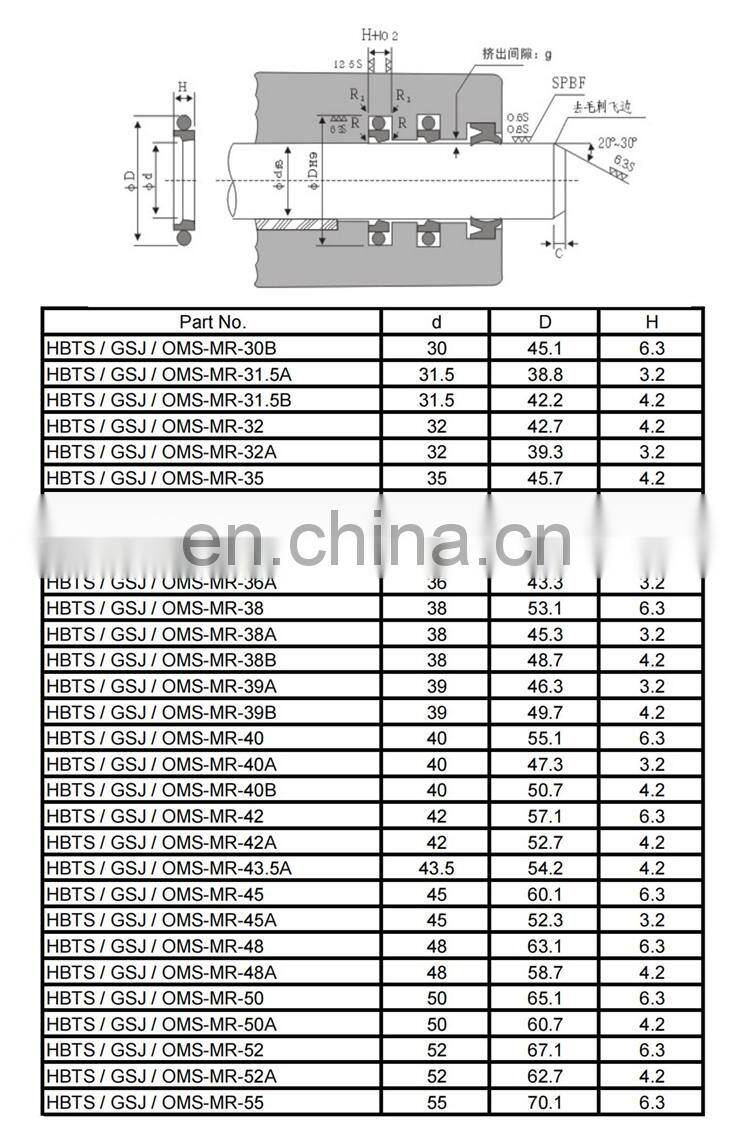 China Manufacturer Hydraulic Cylinder Rod Rubber PTFE HBTS STD Rod Step Seal GSJ Seal