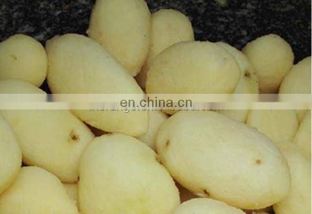 Hiqh Quality Automatic Potato/Carrot/Cassava Peelers/+86 189 39583282