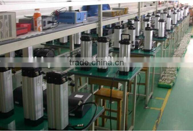 2000 CYCLES 48v 15ah lifepo4 battery for electric bike, High power 48v 1000w electric bike battery 48V 15AH LIFEPO4 BATTERY