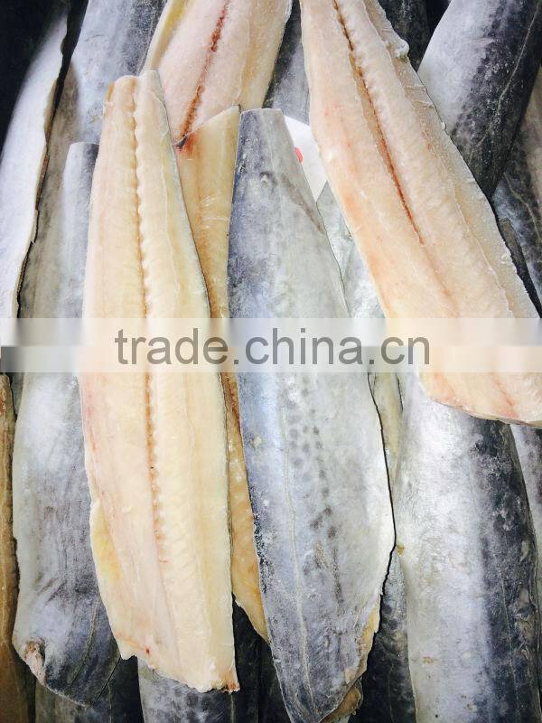 frozen spanish mackerel fillets