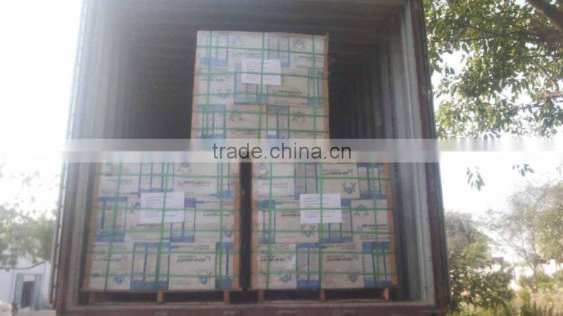 10 X 15 Digital Wall Tiles...