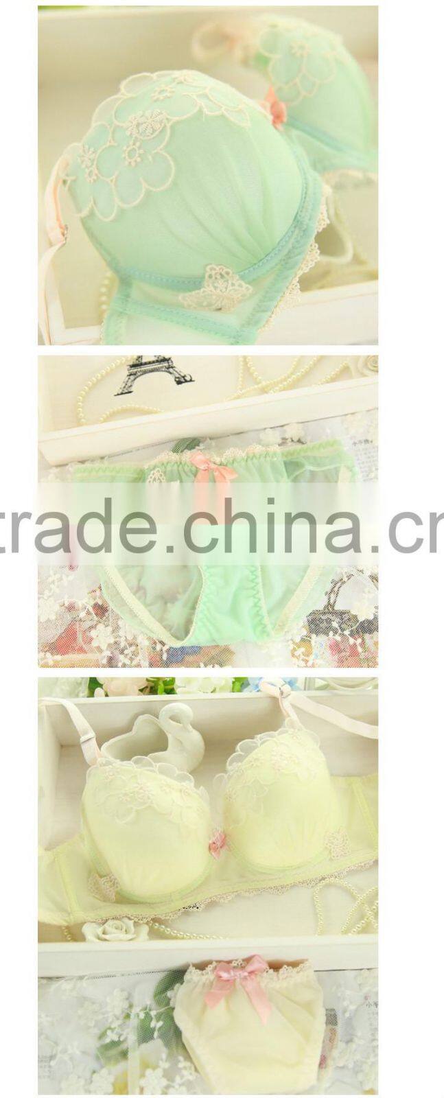 Lace Embroidery Transparent Underwear Bra