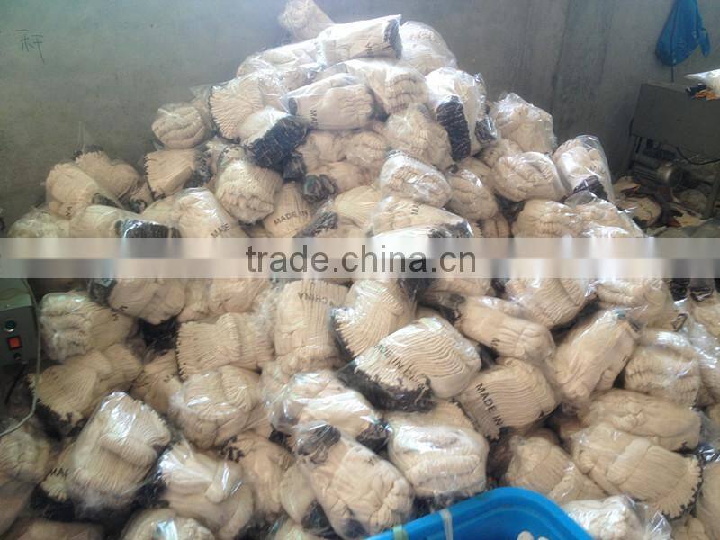 PVC Dotted White Hand Cotton Gloves/ working gloves/ safety gloves
