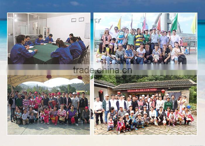 supplier wp 300psi 3/8 inch natural gas hose for cylinder filling machine