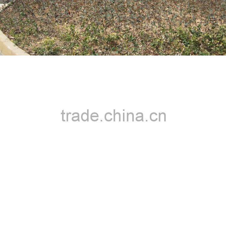 LED spot light E27 5W-12W