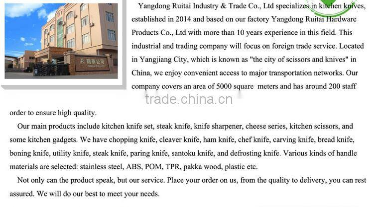 5PCS cloro handle kitchen knife set