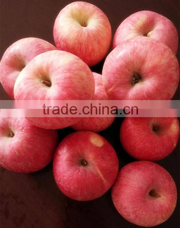 Best selling nutritious Apple Fuji Apples Chinese Fuji Apple