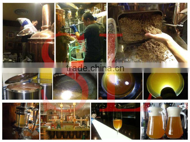 complete 50l beer brewery machine