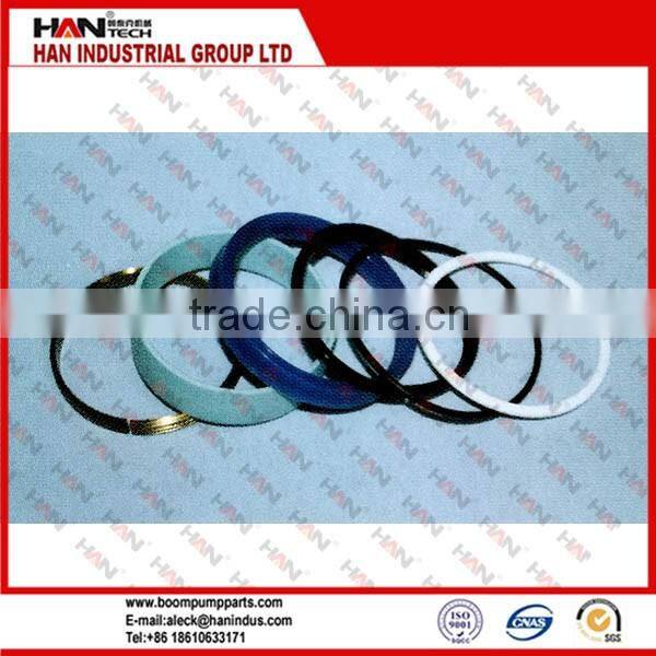 Putzmeister SLEWING SEAL KITS FOR CYLINDER for Outher Housing