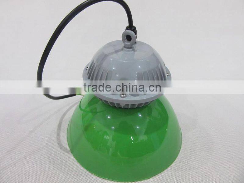 30W Supermarket Fresh Light commercial led pendant lighting
