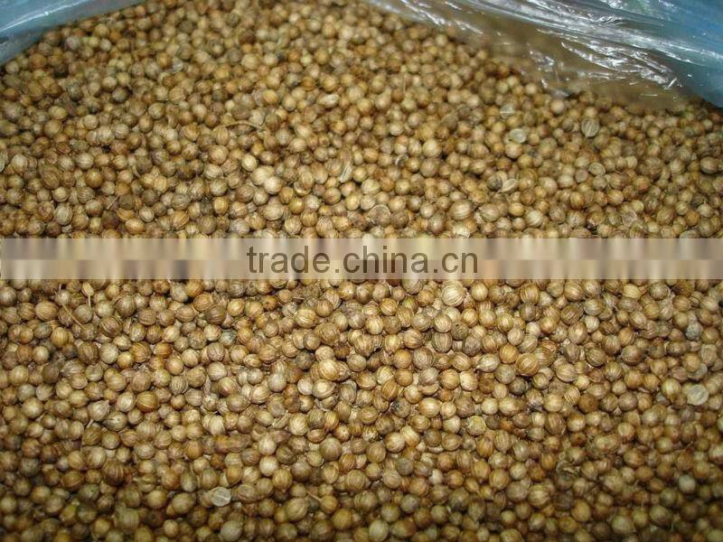 Coriander seeds