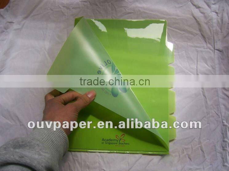 Colourful transparent L folder