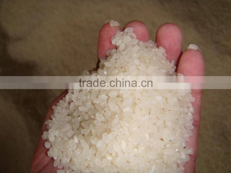 Vietnam Long/ Medium/ Perfume Rice/ Japonica Rice (Skype: hoi_intimexna)