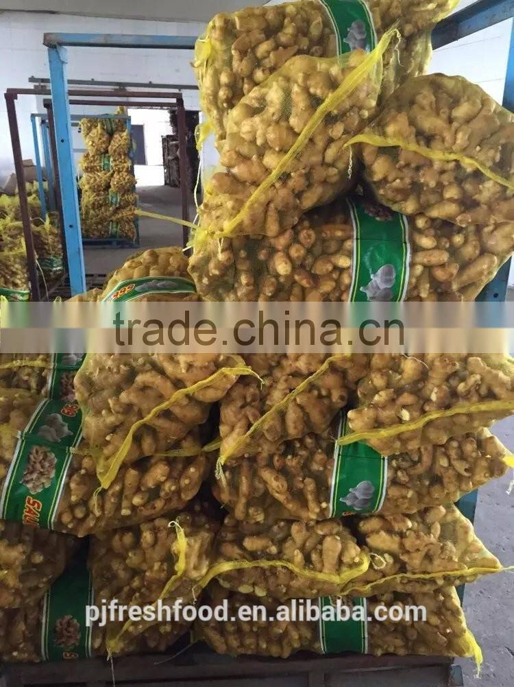 Specification fresh ginger/specification dry ginger