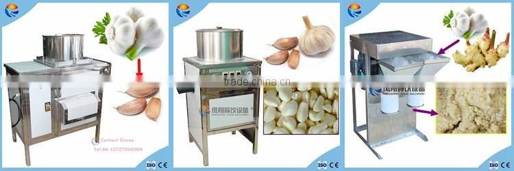 Electric Large Type of Garlic/Shrimp/Turmeric Paste Grinding Machine