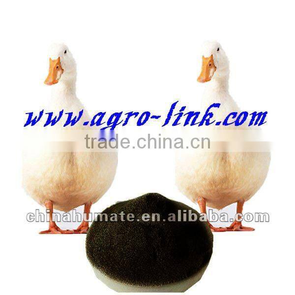 broiler poultry feed
