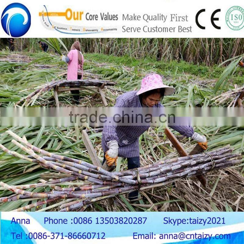 Diesel engine power sugar cane leaf stripping machine