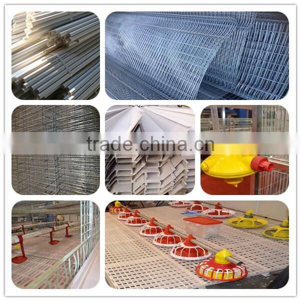 China made chicken cage competitive poultry equipment price