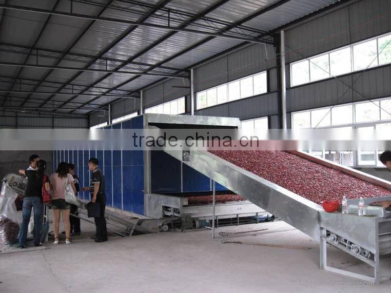 Nanyang manufacturer directly supplying latest and hot cleaning air continuous medlar mesh belt dryer