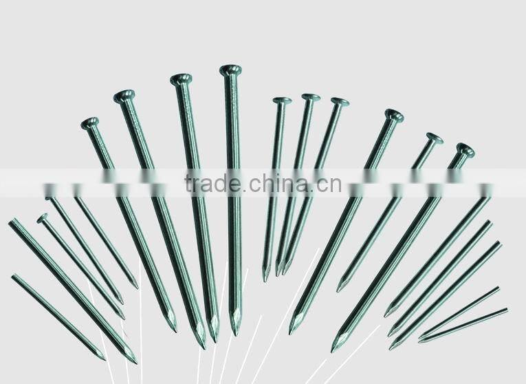 Common Nails (Factory and Exporter)