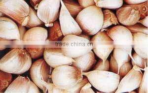 Garlic Breaker with factory wholesale (video)