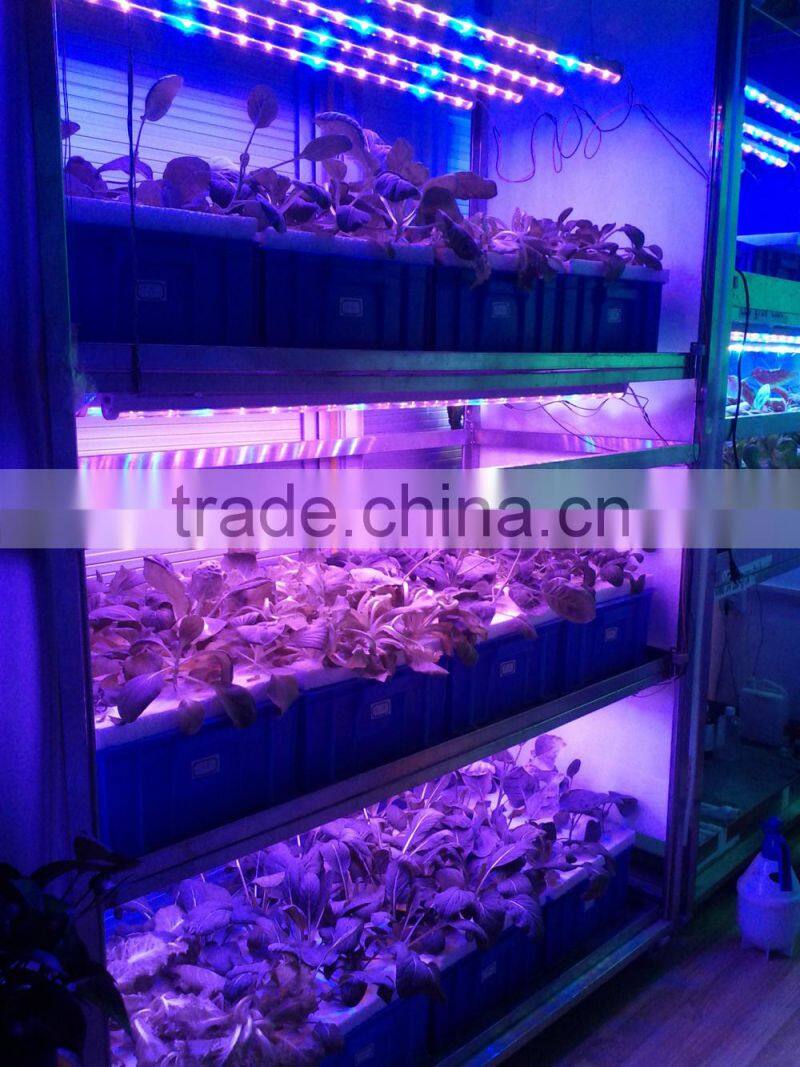 730nm far red vanq led grow lights T8 tube 20w Led Grow Tube