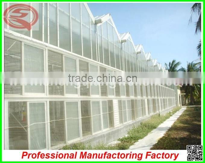 Super size SQ-8.0 glass greenhouses with high transmittance