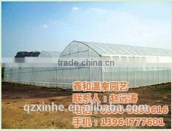 low cost Multifunction high quality greenhouse for plant vegetables