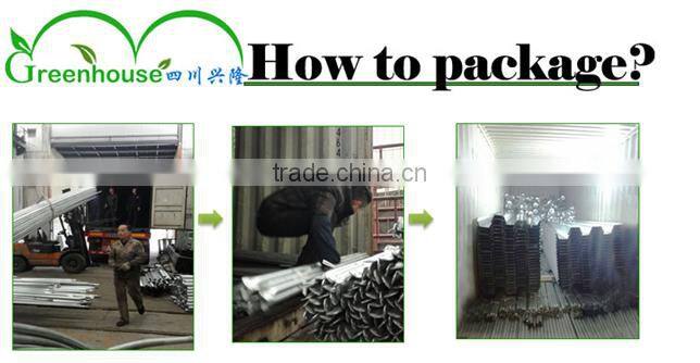 poly tunnel agriculture greenhouse China factory