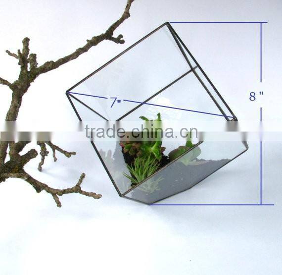 Tabletop Minimalist Decorate Geometric Cube Glass Terrarium