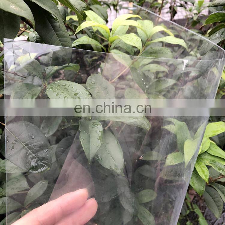 Transparent PETG Plastic Recycled Sheet PET Sheet