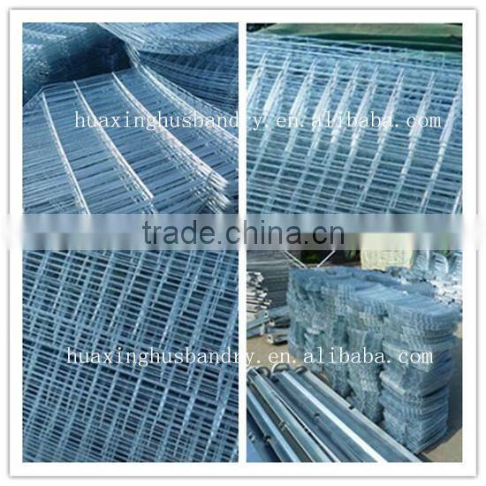Huaxing automatic feeder for hens/broiler chicken feeding/broiler chicken coop